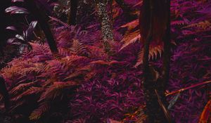 Preview wallpaper fern, plants, jungle, tropical, thick, purple