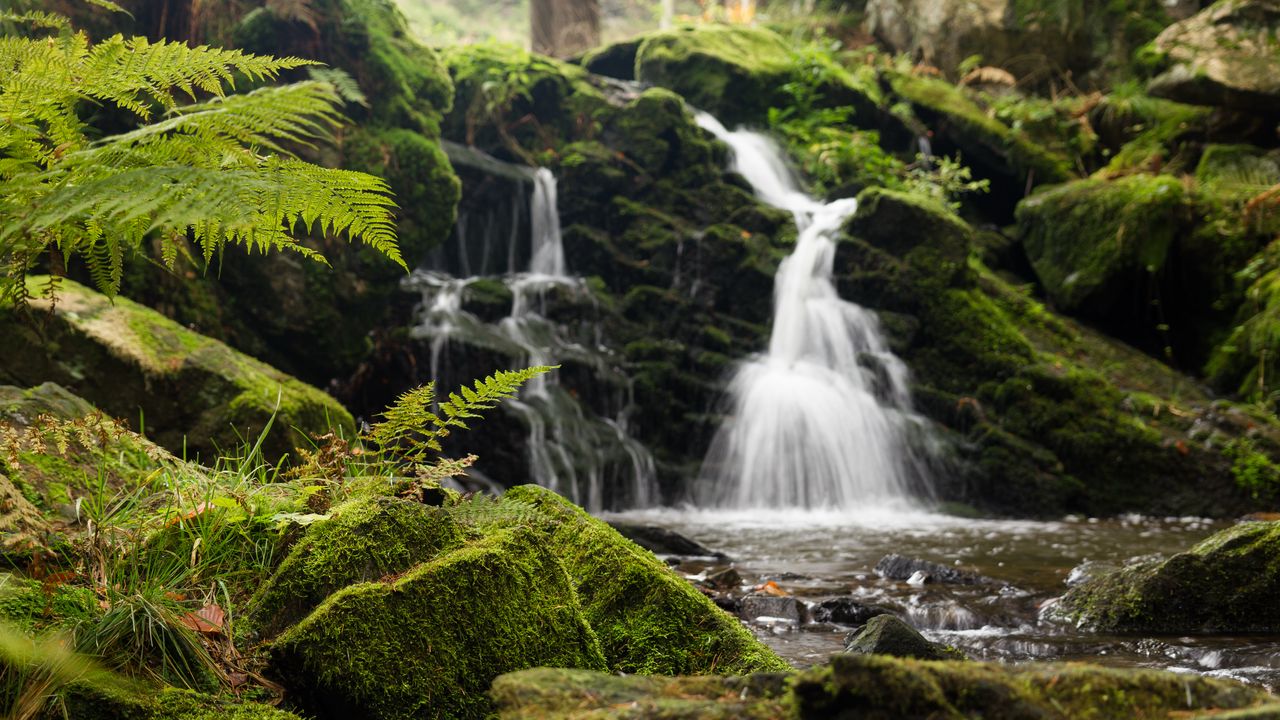 Wallpaper fern, rocks, moss, waterfall, water