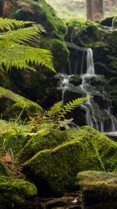 Preview wallpaper fern, rocks, moss, waterfall, water
