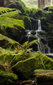 Preview wallpaper fern, rocks, moss, waterfall, water