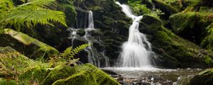 Preview wallpaper fern, rocks, moss, waterfall, water