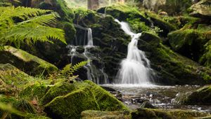 Preview wallpaper fern, rocks, moss, waterfall, water