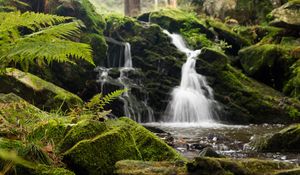 Preview wallpaper fern, rocks, moss, waterfall, water