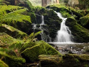 Preview wallpaper fern, rocks, moss, waterfall, water