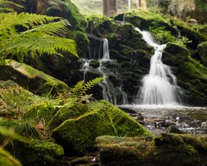 Preview wallpaper fern, rocks, moss, waterfall, water