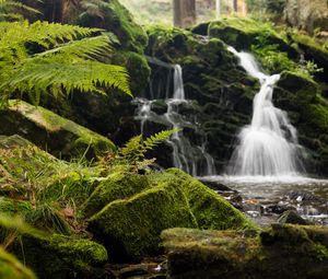 Preview wallpaper fern, rocks, moss, waterfall, water