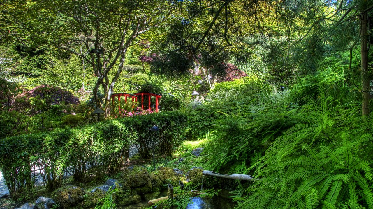 Wallpaper fern, stream, bushes, bridge, garden