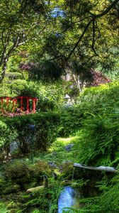 Preview wallpaper fern, stream, bushes, bridge, garden