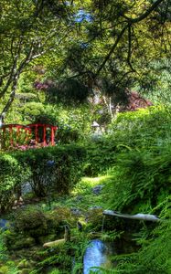 Preview wallpaper fern, stream, bushes, bridge, garden