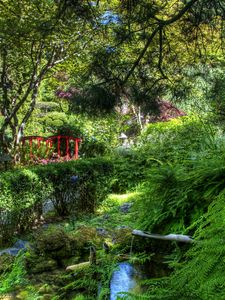 Preview wallpaper fern, stream, bushes, bridge, garden