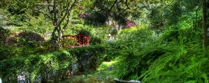 Preview wallpaper fern, stream, bushes, bridge, garden