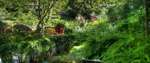 Preview wallpaper fern, stream, bushes, bridge, garden