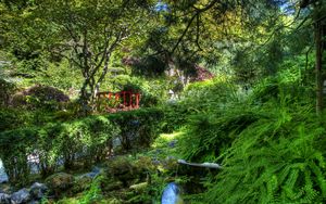 Preview wallpaper fern, stream, bushes, bridge, garden