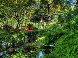 Preview wallpaper fern, stream, bushes, bridge, garden