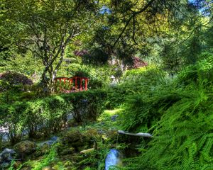 Preview wallpaper fern, stream, bushes, bridge, garden