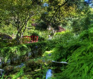 Preview wallpaper fern, stream, bushes, bridge, garden