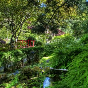 Preview wallpaper fern, stream, bushes, bridge, garden