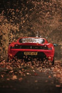 Preview wallpaper ferrari, scuderia, racing, red, rear view, autumn