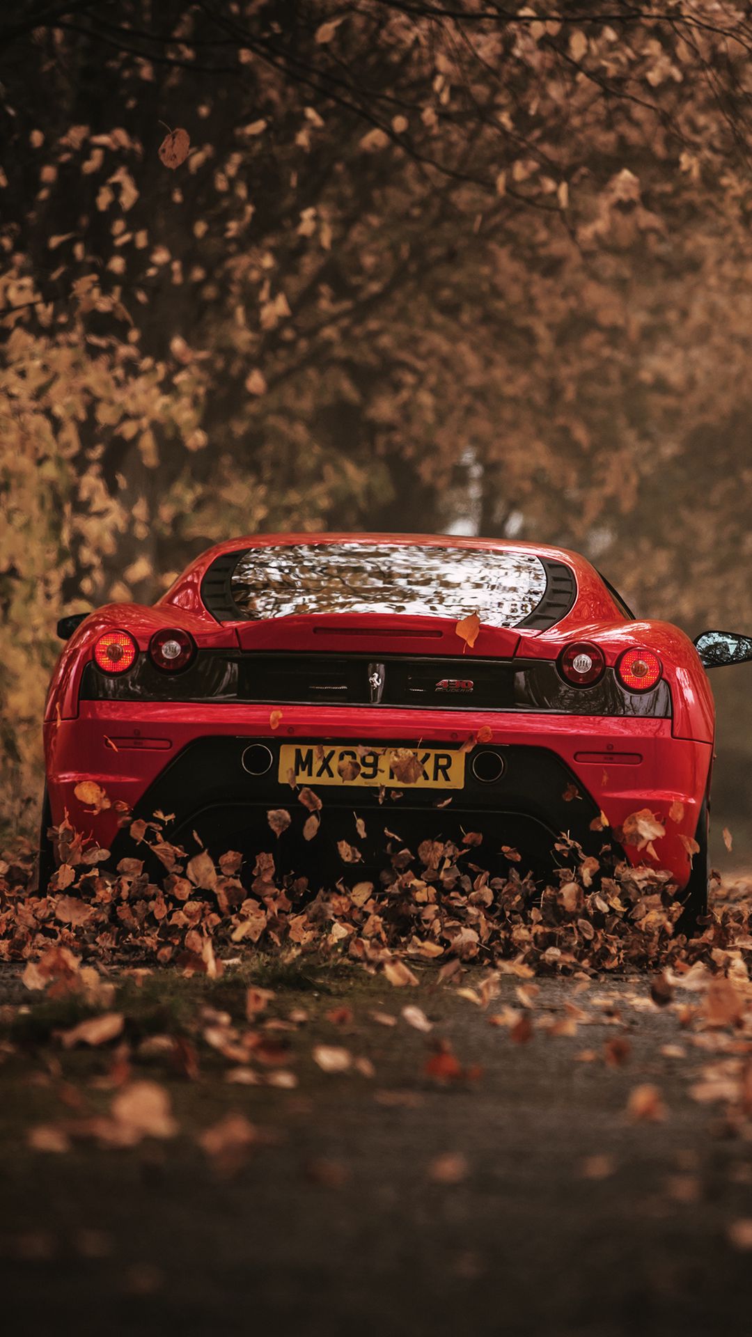 1080x1920 Wallpaper ferrari, scuderia, racing, red, rear view, autumn