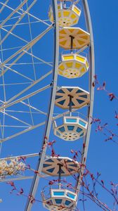 Preview wallpaper ferris wheel, attraction, flowers, tree