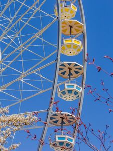 Preview wallpaper ferris wheel, attraction, flowers, tree