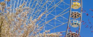 Preview wallpaper ferris wheel, attraction, flowers, tree