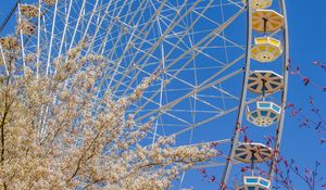 Preview wallpaper ferris wheel, attraction, flowers, tree