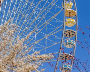 Preview wallpaper ferris wheel, attraction, flowers, tree