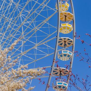 Preview wallpaper ferris wheel, attraction, flowers, tree