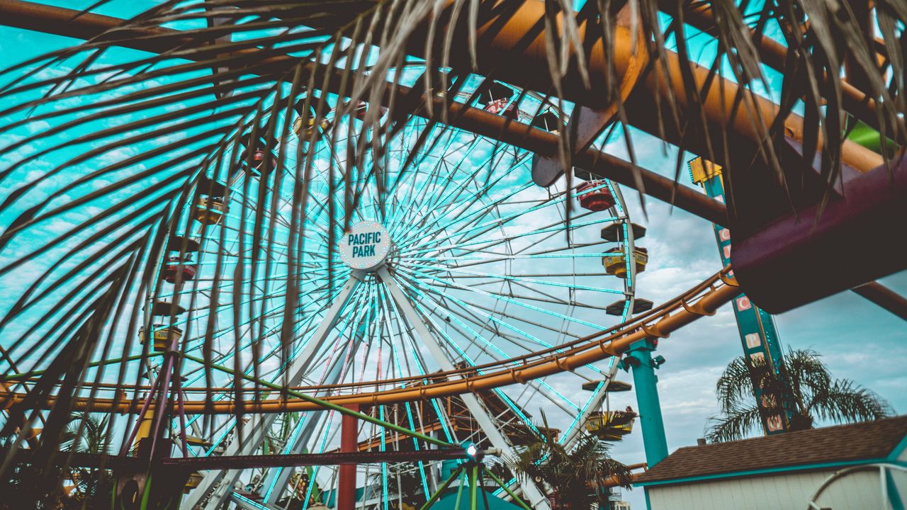 Wallpaper ferris wheel, attraction, palm tree, leaves