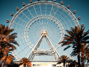 Preview wallpaper ferris wheel, attraction, palm trees, fountain