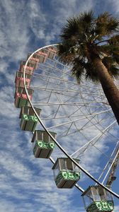 Preview wallpaper ferris wheel, attraction, palm trees, bottom view