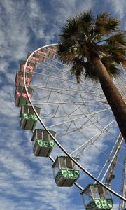 Preview wallpaper ferris wheel, attraction, palm trees, bottom view