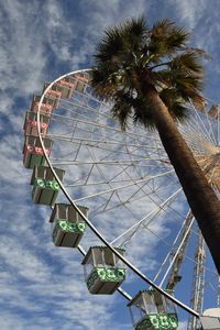 Preview wallpaper ferris wheel, attraction, palm trees, bottom view