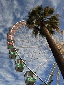 Preview wallpaper ferris wheel, attraction, palm trees, bottom view