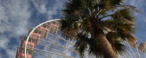 Preview wallpaper ferris wheel, attraction, palm trees, bottom view