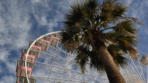 Preview wallpaper ferris wheel, attraction, palm trees, bottom view