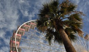 Preview wallpaper ferris wheel, attraction, palm trees, bottom view