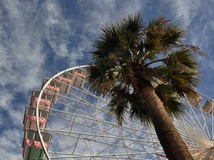 Preview wallpaper ferris wheel, attraction, palm trees, bottom view