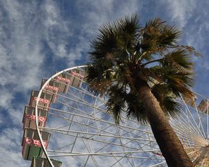 Preview wallpaper ferris wheel, attraction, palm trees, bottom view