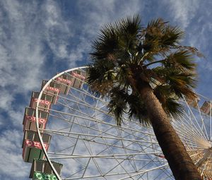 Preview wallpaper ferris wheel, attraction, palm trees, bottom view