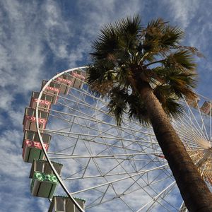 Preview wallpaper ferris wheel, attraction, palm trees, bottom view