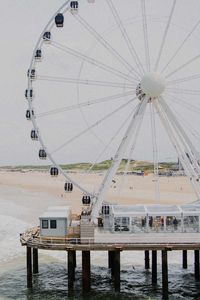 Preview wallpaper ferris wheel, attraction, shore