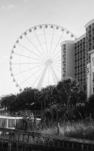 Preview wallpaper ferris wheel, attraction, sky, trees, buildings, bw