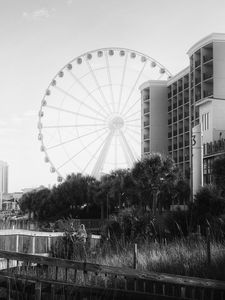 Preview wallpaper ferris wheel, attraction, sky, trees, buildings, bw