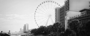 Preview wallpaper ferris wheel, attraction, sky, trees, buildings, bw