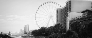 Preview wallpaper ferris wheel, attraction, sky, trees, buildings, bw