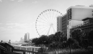 Preview wallpaper ferris wheel, attraction, sky, trees, buildings, bw