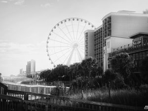 Preview wallpaper ferris wheel, attraction, sky, trees, buildings, bw