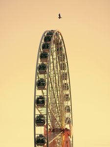 Preview wallpaper ferris wheel, bird, sky, minimalism